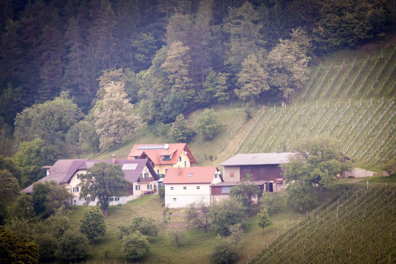 Weinbau Pronegg Vlg. Krainz Leilighet Leutschach Eksteriør bilde